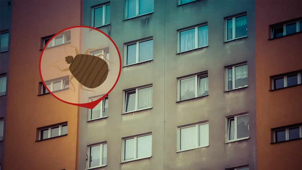 Ilustracja pluskwy na tle fragmentu wielopiętrowego budynku mieszkalnego.