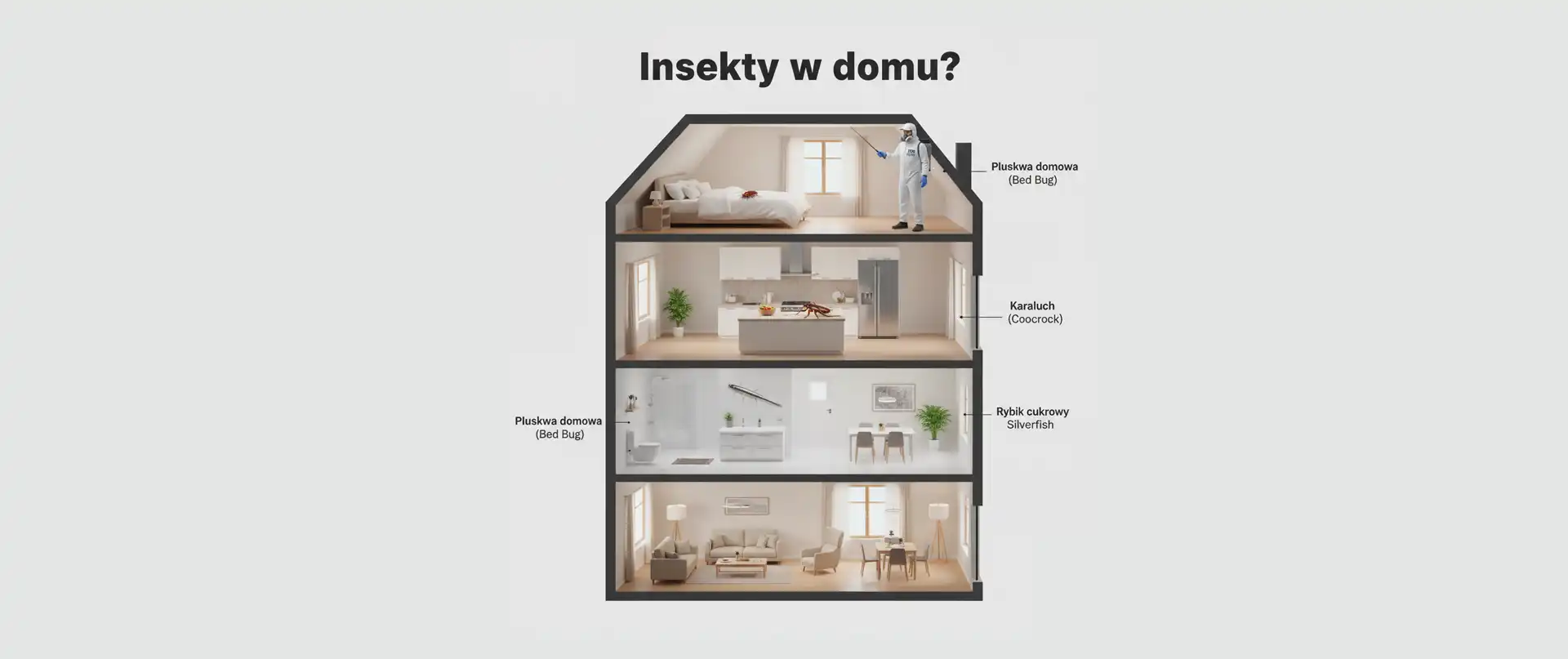 Insekty w Domu? Specjalista DDD Odpowiada na 5 Najczęstszych Pytań Klientów