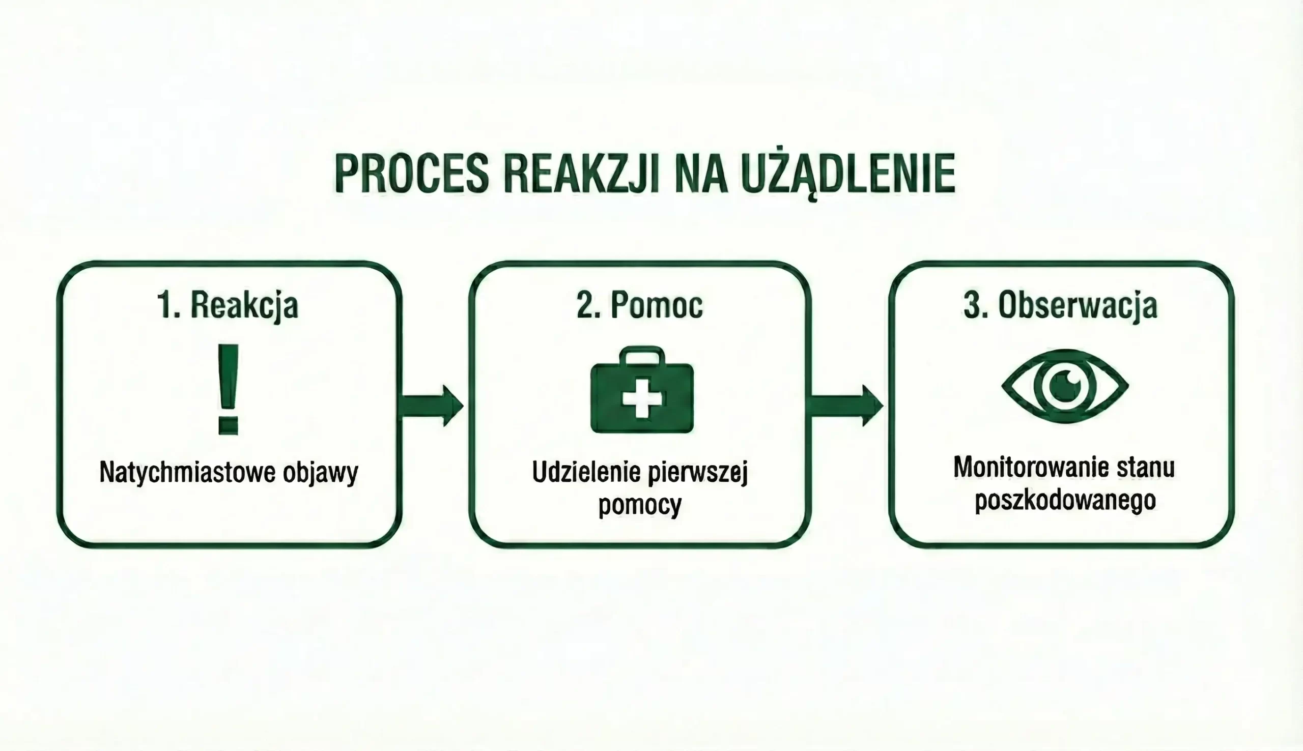 Infografika przedstawiająca trzystopniowy proces reakcji na użądlenie: reakcję, udzielenie pierwszej pomocy i obserwację.