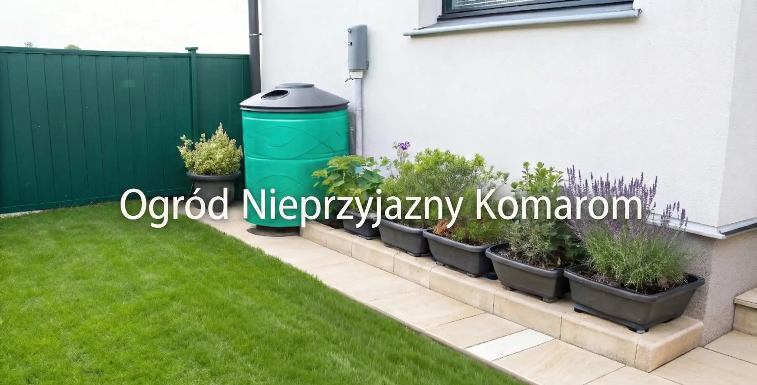 Ogród z zielonym płotem, beczką na deszczówkę i doniczkowymi roślinami, promujący brak komarów.