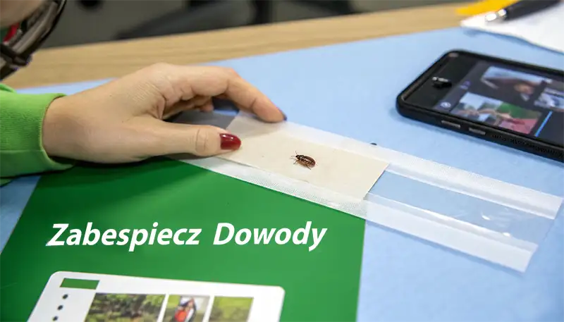 Dłoń wskazuje na owada podobnego do chrząszcza, zabezpieczonego w plastikowej torebce, obok smartfona i napisu 'Zabezpiecz dowód'.
