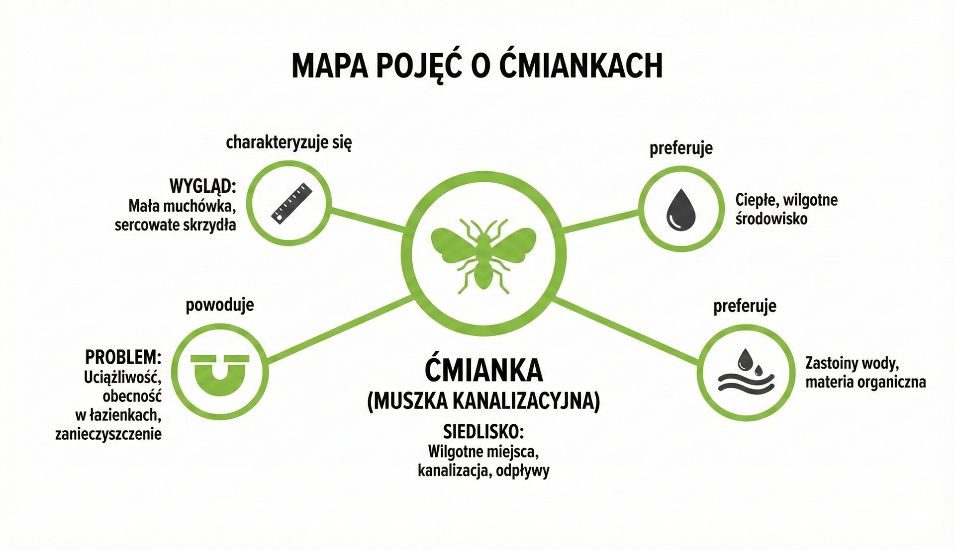 Mapa pojęć o ćmiankach, przedstawiająca ich wygląd, siedlisko, preferencje oraz powodowane problemy.