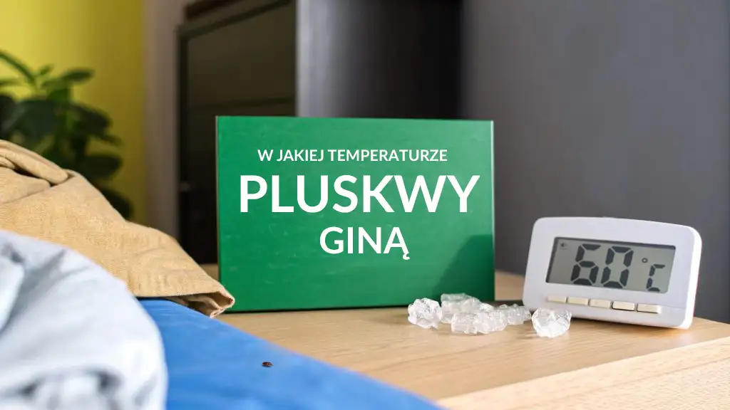 Grafika z napisem „W jakiej temperaturze giną pluskwy”, obok termometru pokazującego 60°C, kostek lodu oraz łóżka w tle – ilustracja przedstawiająca temat skutecznej temperatury do zwalczania pluskiew.