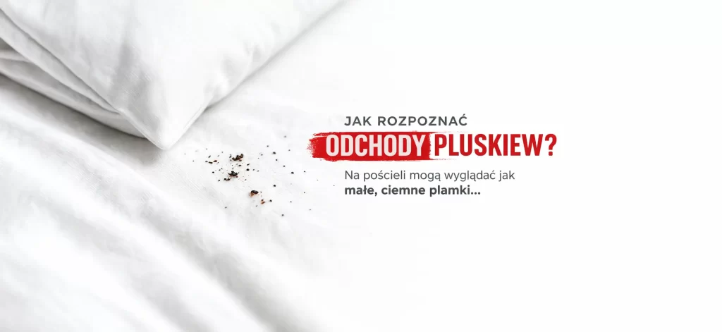 Biała pościel z widocznymi małymi, ciemnymi plamkami przypominającymi odchody pluskiew oraz nagłówkiem „Jak rozpoznać odchody pluskiew – wygląd, znaczenie i sygnały zagrożenia