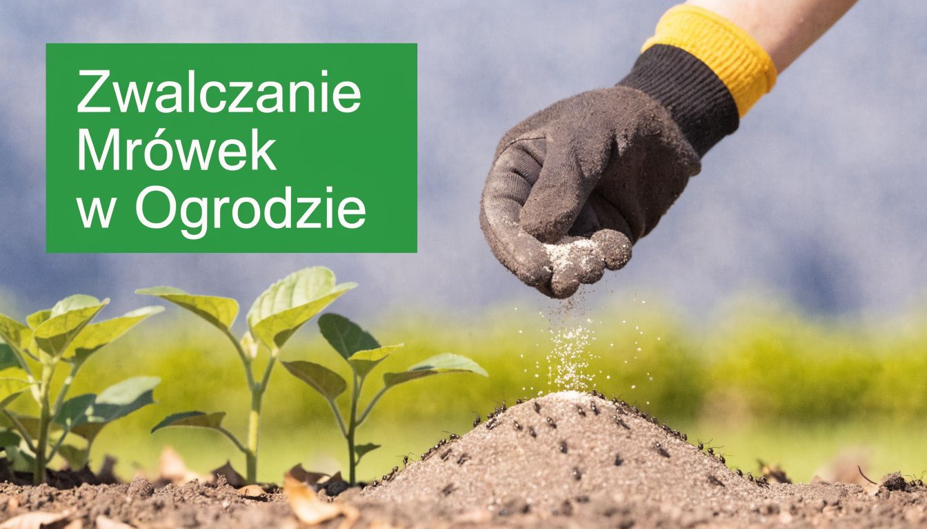 ant control in the garden ant treatment