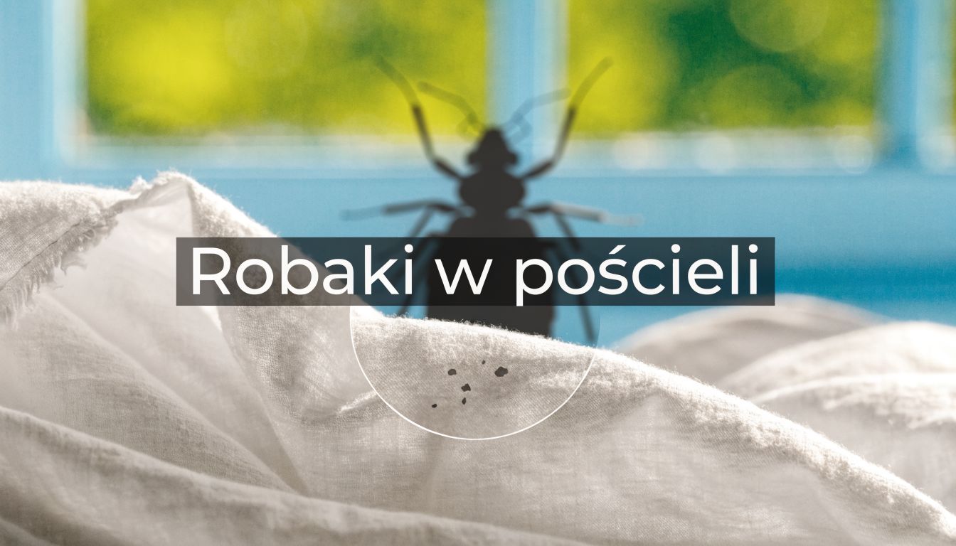 Robaki w pościeli zdjęcia: Jak rozpoznać i zwalczać intruzów