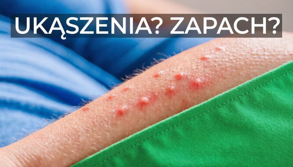 Bliska fotografia ramienia z widocznymi czerwonymi śladami po ukąszeniach owadów, być może pluskiew, na ludzkiej skórze.