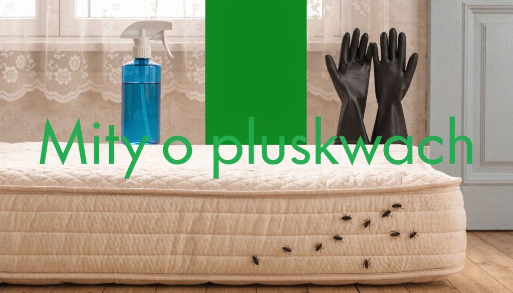 grafika Hero Mity o Pluskwach