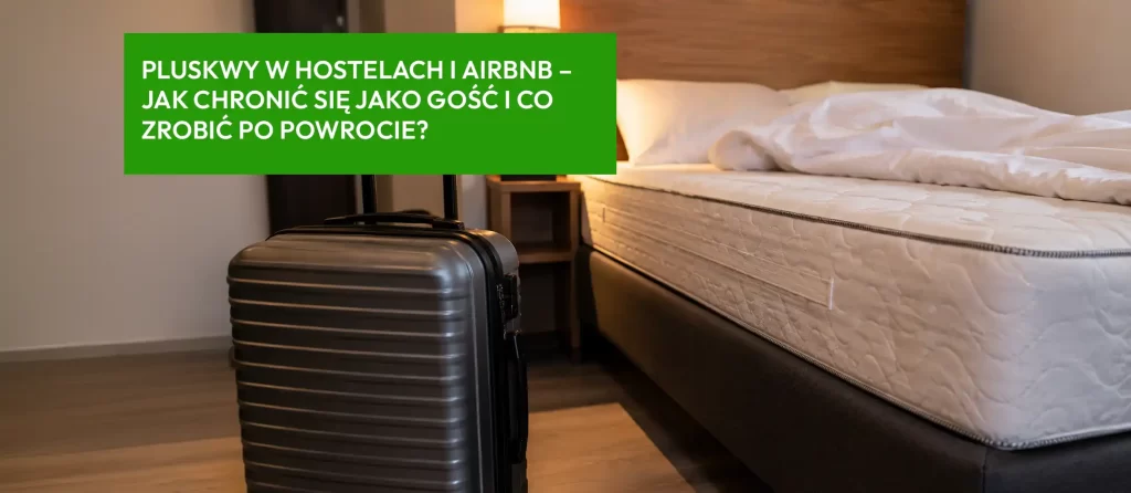 pluskwy w hostelu – jak się chronić
